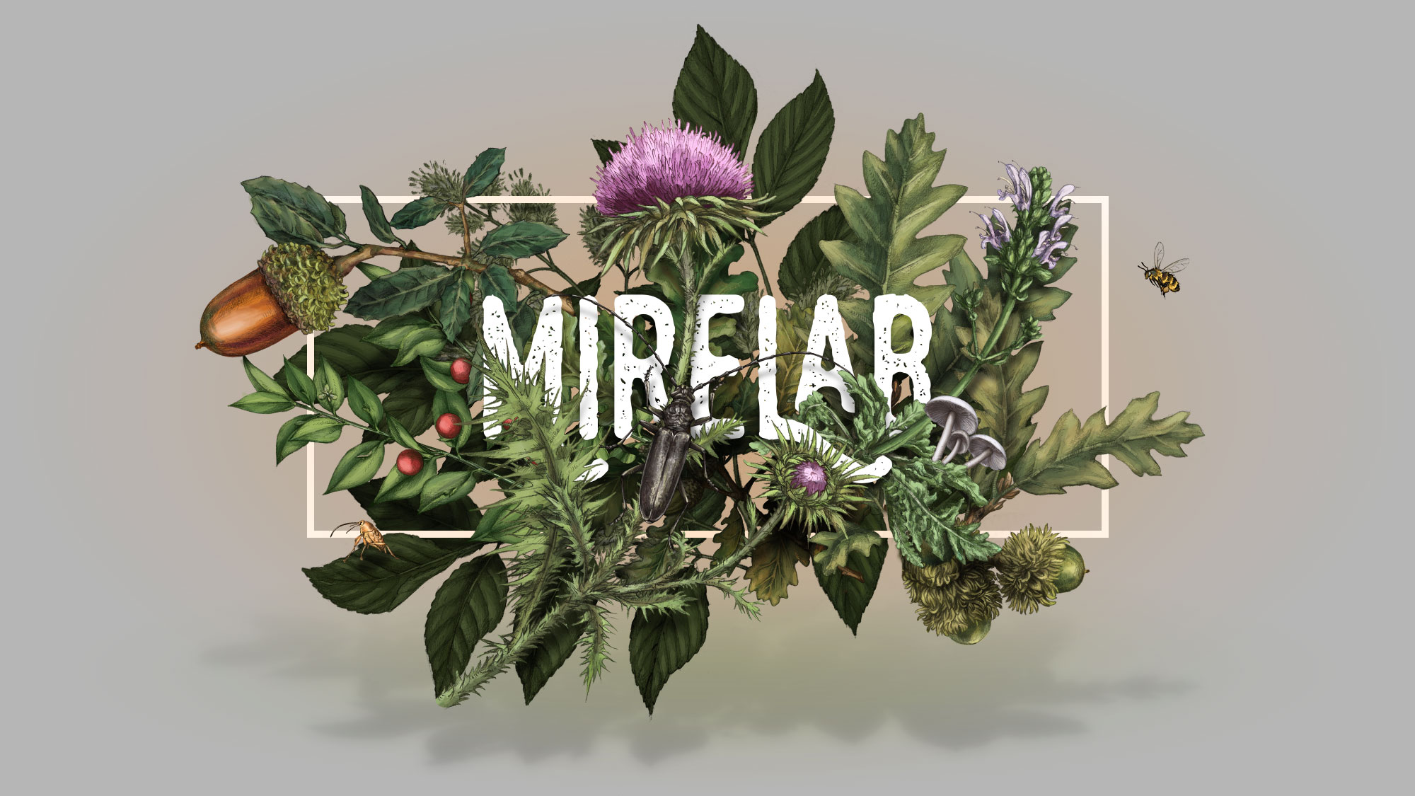 Mirelab cover image